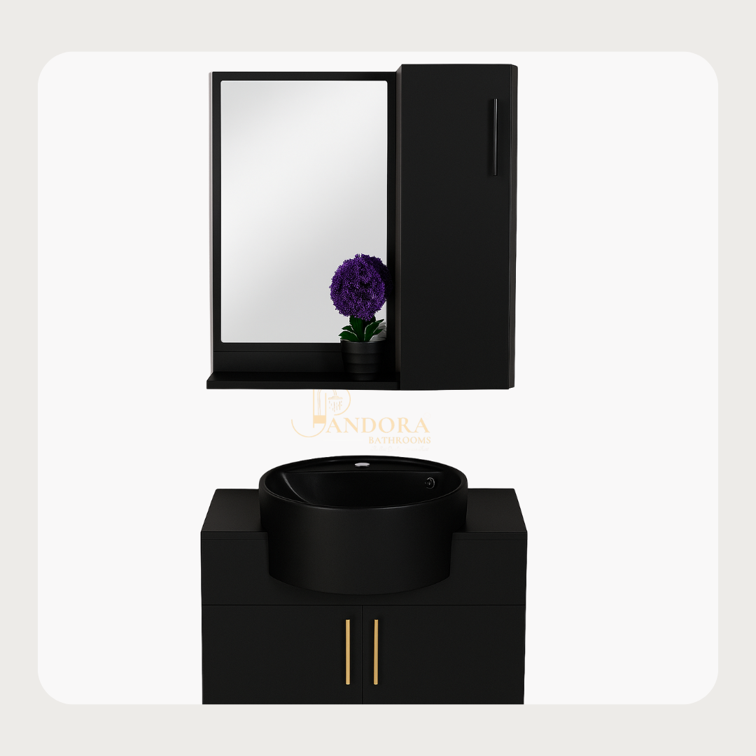 BRISTAN Black Ensuite Cabinet with Mirror and shelf box