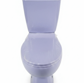 Milano Blue Water Closet
